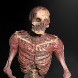 Skinless Zombie, Undead, Decayed Ghoul