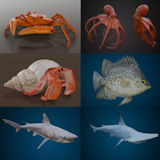 Animated sealife bundle