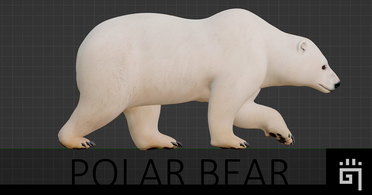Polar Bear (AnimalDev) | Characters | Unity Asset Store