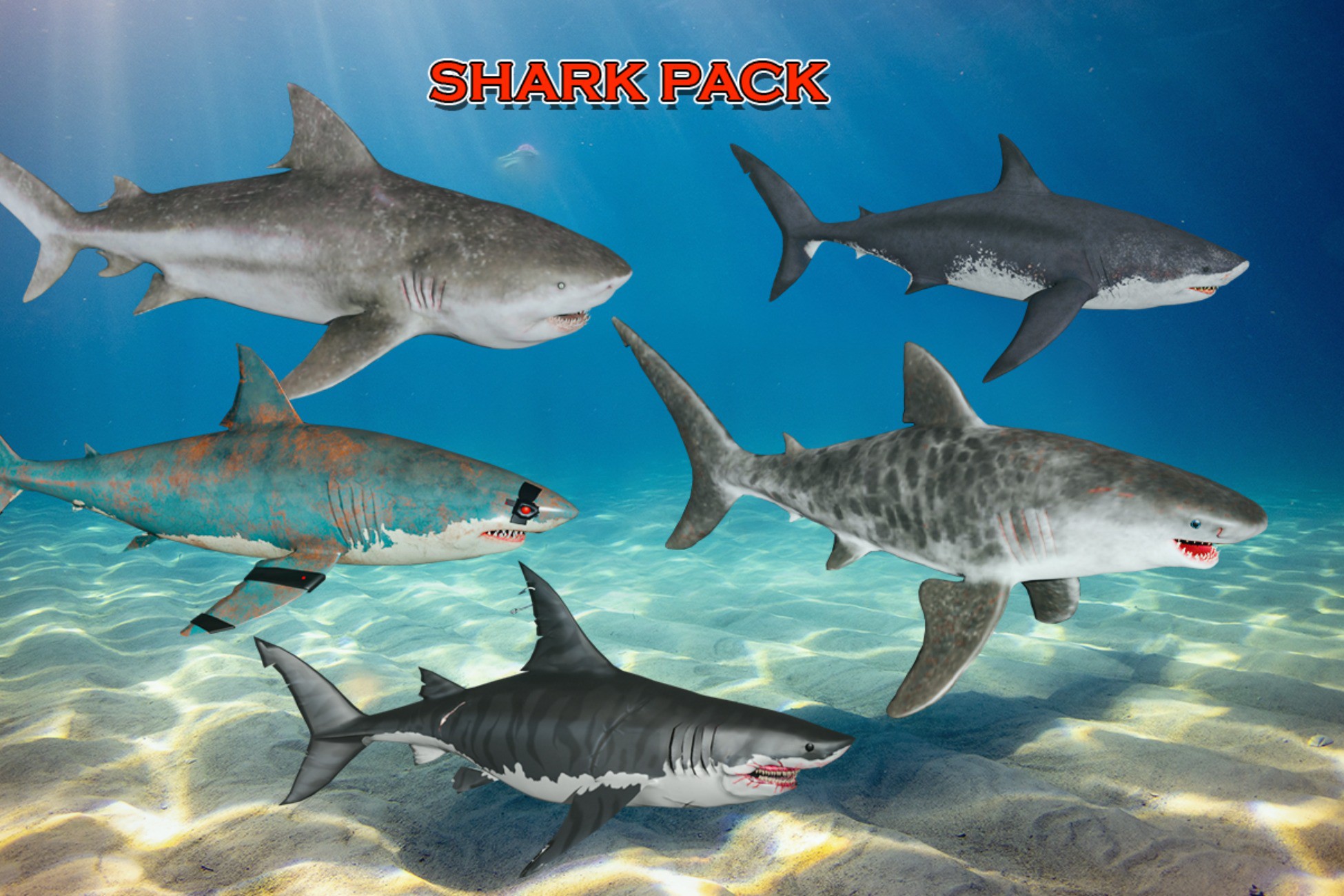 Shark Pack with Animations | Characters | Unity Asset Store