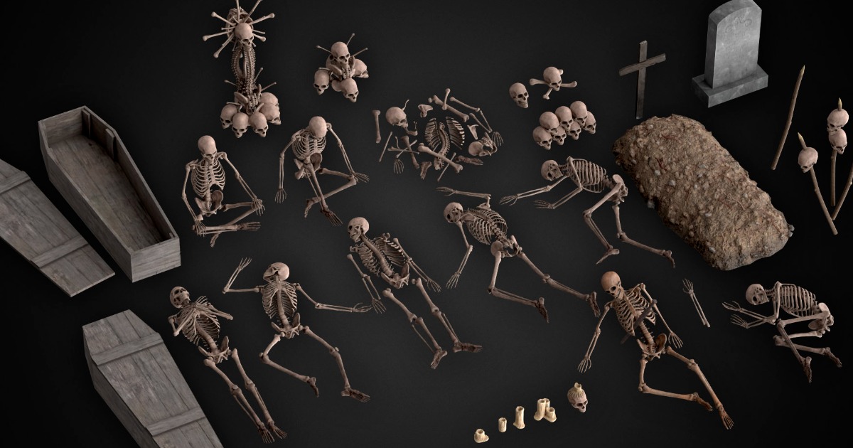 Human Skeletons And Bones 3D Exterior Unity Asset Store Human skeletons and bones 3d exterior unity asset store