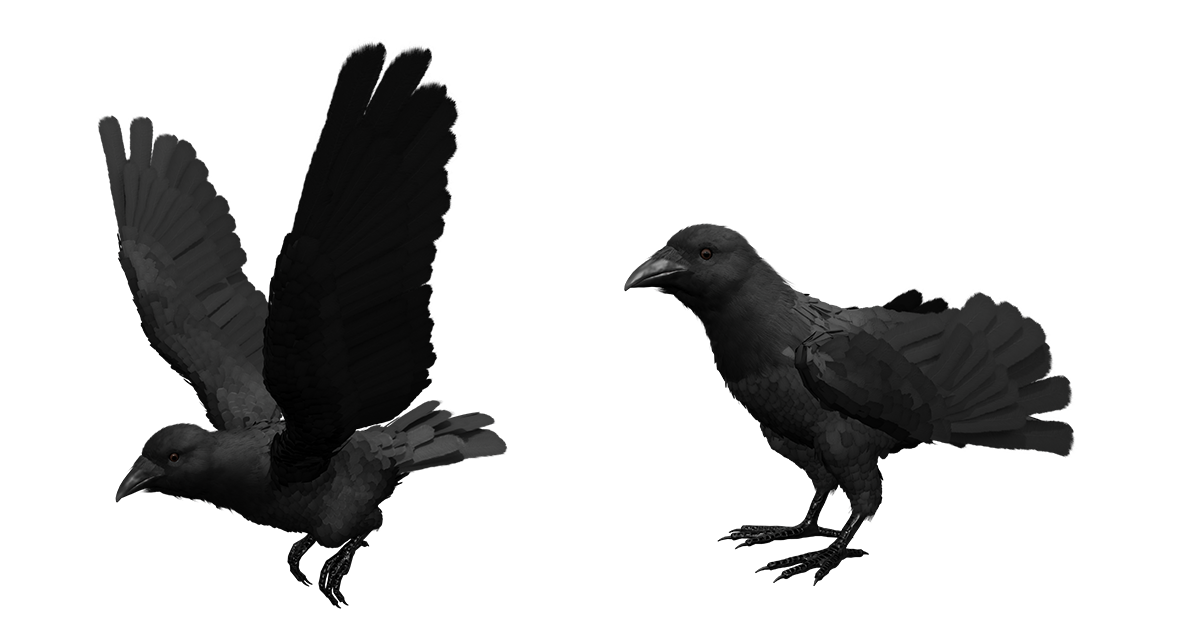 Crow Feathered | Characters | Unity Asset Store