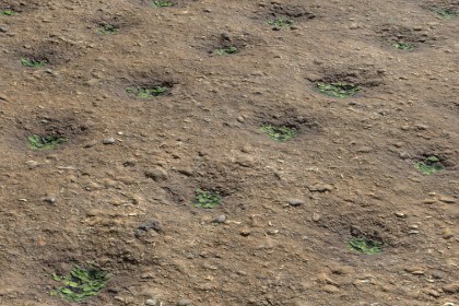 Farm Terrain Textures Pack 2