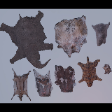 Animal pelts volume five: elephant, cow, calf, leopard, rabbit, antelope 4k URP