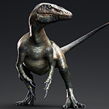 Dinosaur Raptor - MegaRaptor