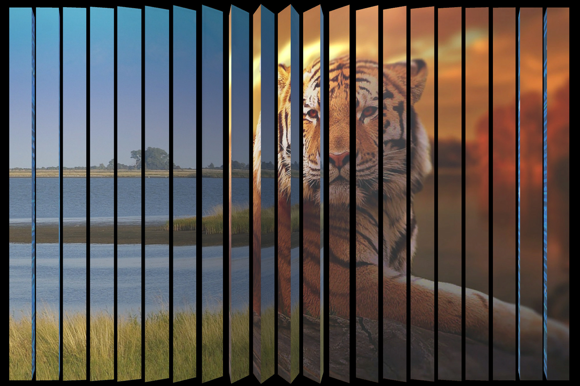 Trivision | 3D Urban | Unity Asset Store