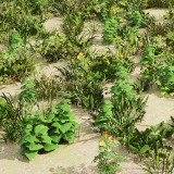 Realistic Meadow Grass Pack – Game Ready Foliage