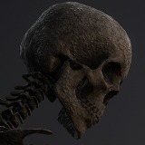 Skeleton Base