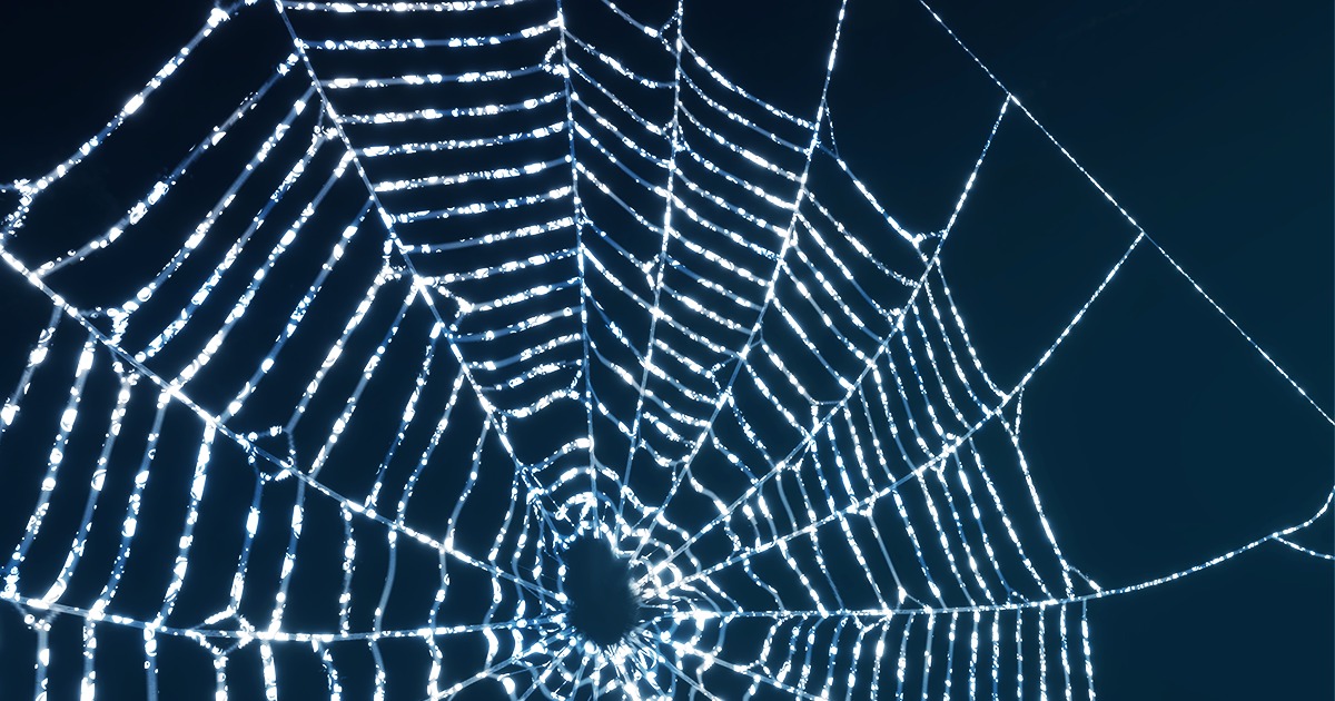 Dynamic Spider Web | Level Design | Unity Asset Store