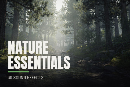 Nature Essentials - 30 Outdoor Sounds