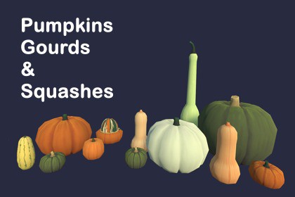 Pumpkins, Gourds & Squashes