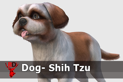 Dog - Shih Tzu