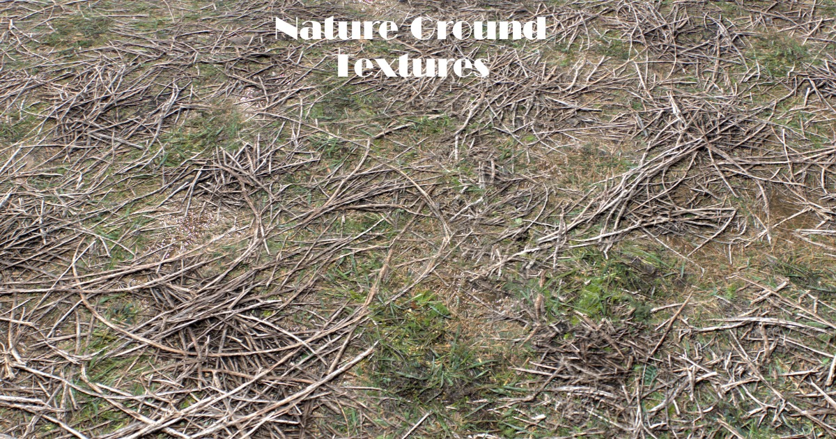 Nature Ground Textures | 2D Nature | Unity Asset Store