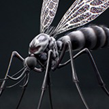 Mosquito Defender - Fantasy land Mosquitoes