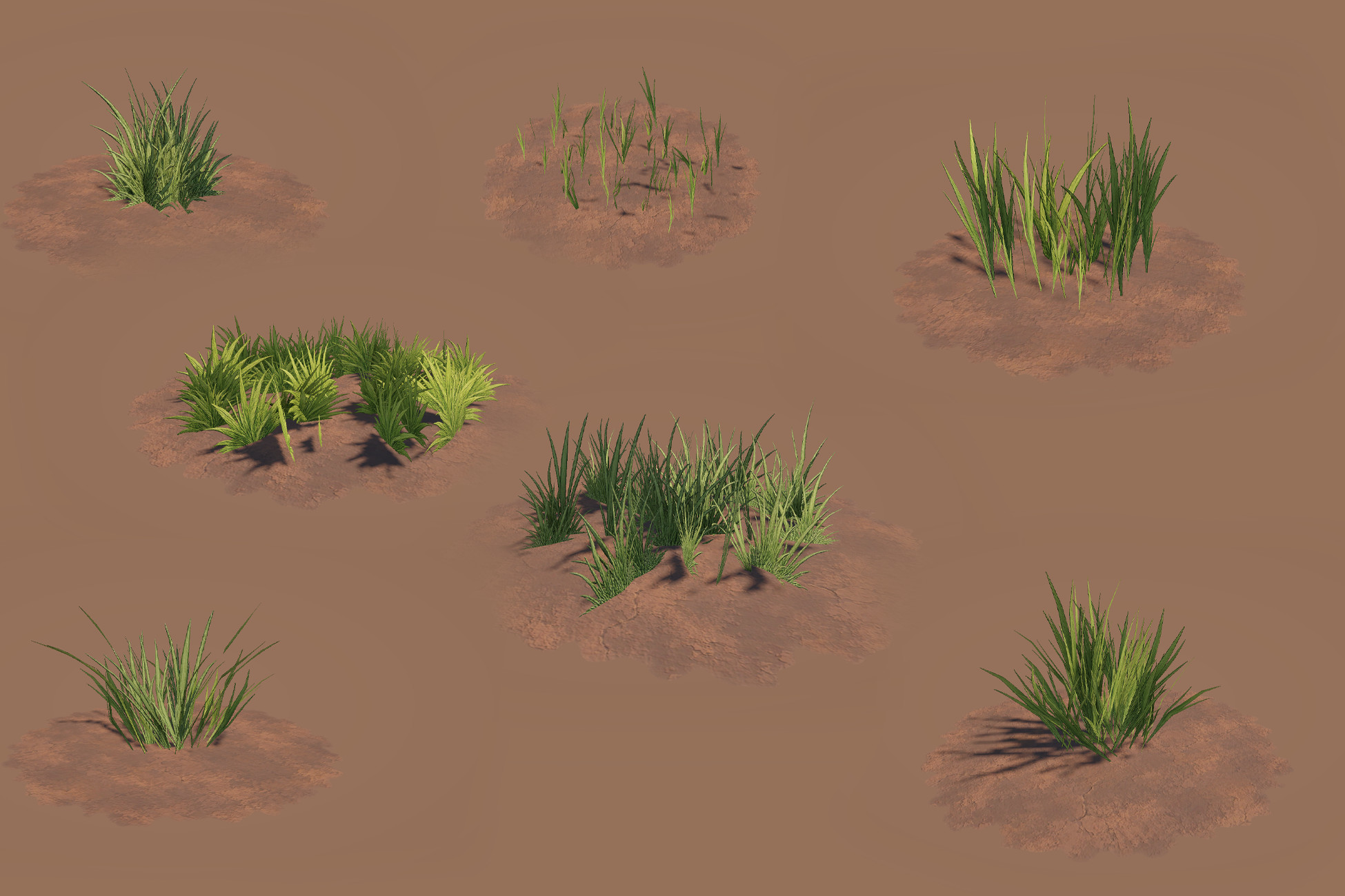 biome 01