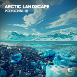 Arctic Landscape Polygonal