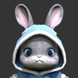 Bunny in hoodie