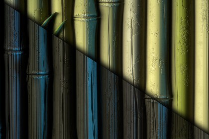 Bamboo Texture & Material Vol. 01