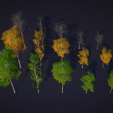 Low-Poly Birch Tree Pack - Multi-Season