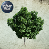 2D-Plant-Creation-System