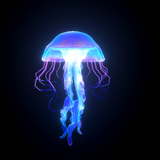 Dreamland Jellyfish Animations