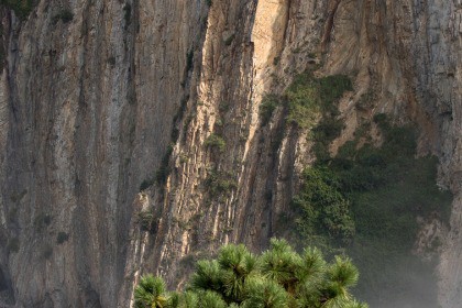 Great Nature Music Pack Vol2