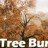 Big Tree Bundle