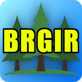 BRG Instanced Renderer