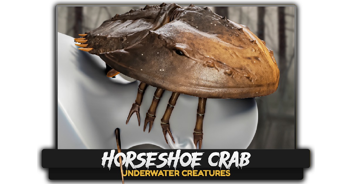 Horseshoe Crab Trilobite Rigged Animated Monster Underwater Creature 24 Characters