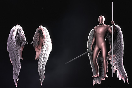 Angel Wings third