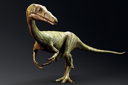 Dinosaur-Compsognathus - 110 Animations