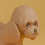 Animated Toy Poodle Dog