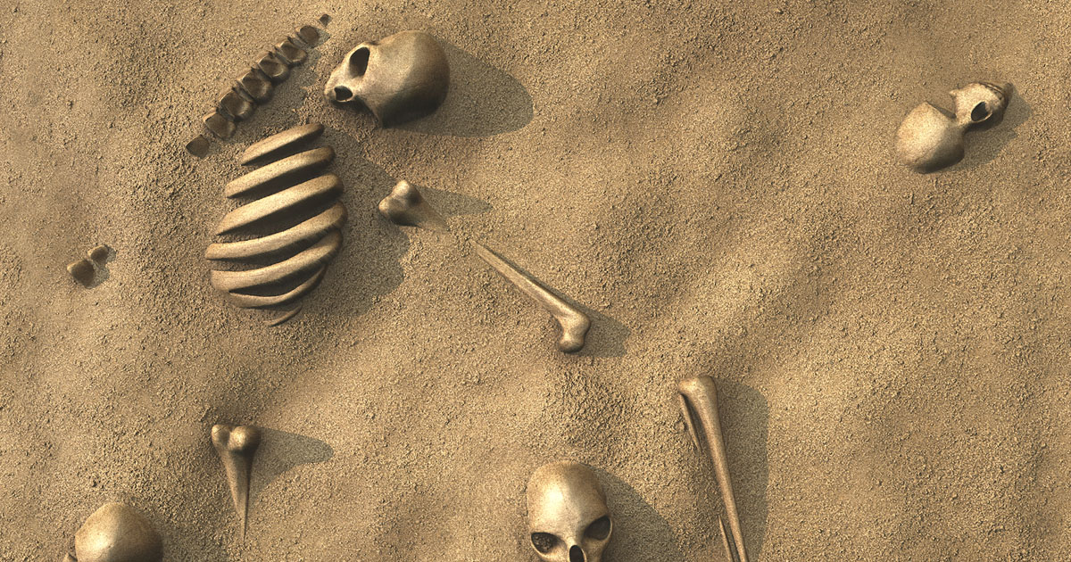 Skulls & Bones Textures | 2D Textures & Materials | Unity Asset Store