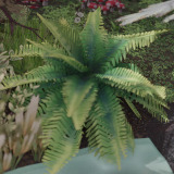Renard Noir Hand-painted Foliage Pack