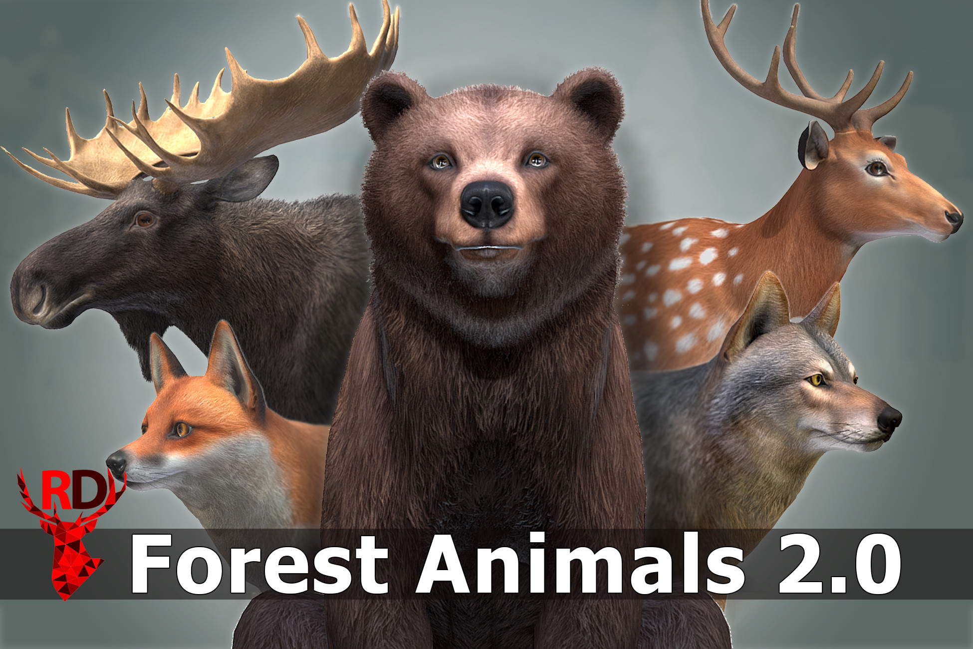 Forest animals 2.0