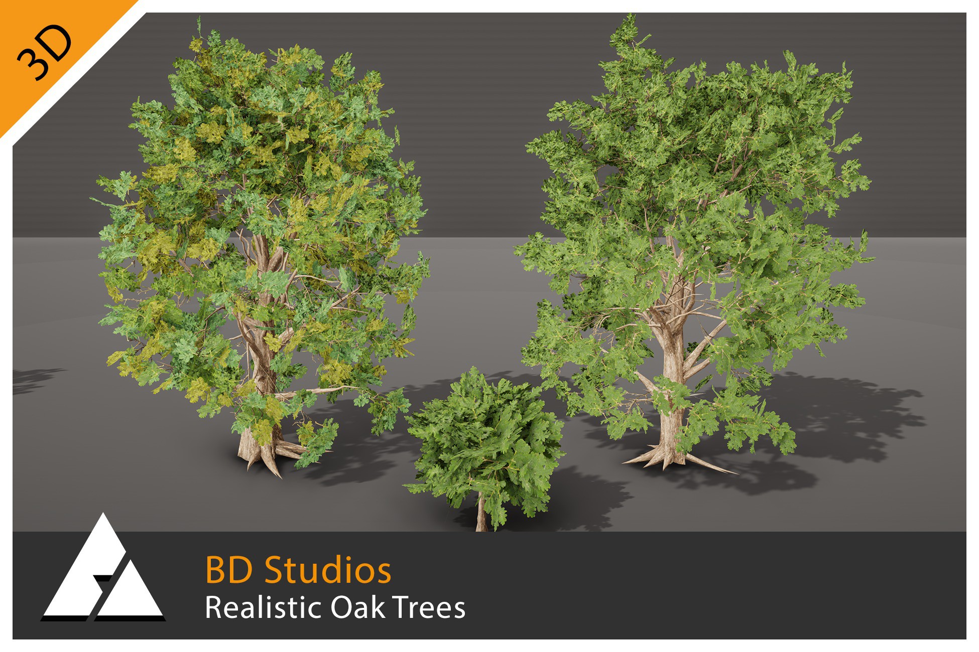 Realistic Oak Trees By BD Studios | 3D Trees | Unity Asset Store