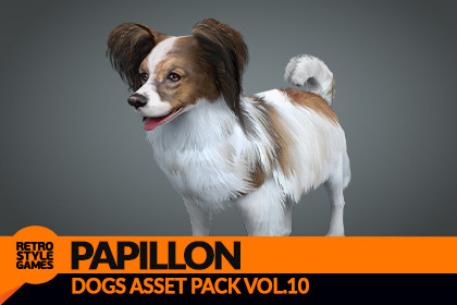 Papillon 3D Model