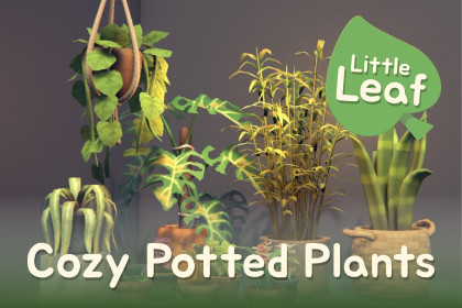 Cozy Potted Plants