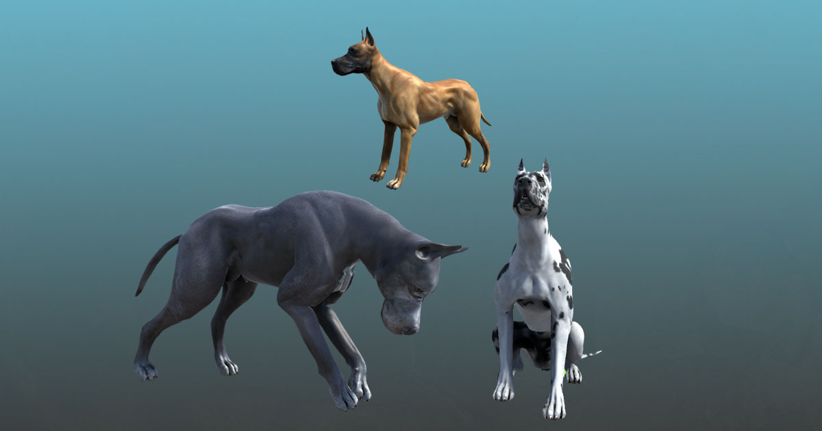 Dog Dane (FV) Single 3D Unity Asset Store