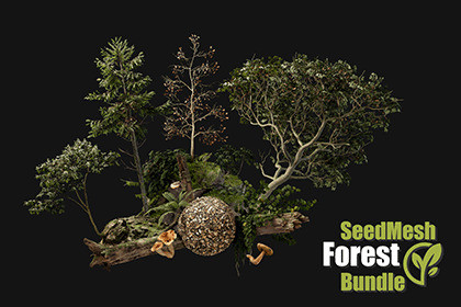 SeedMesh Forest Bundle