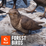 Forest birds - animals pack