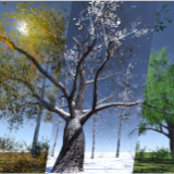 Interactive Foliage System: Seasons, SSS & Wind (URP)