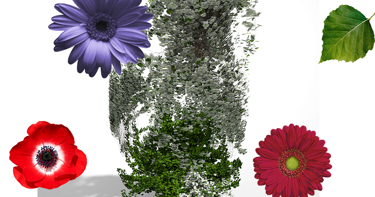 Unity Flowers Hanging Plants - Free | 3D Flowers | Unity Asset Store