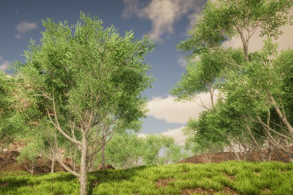 HDRP Tree Pack #6