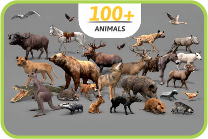 WILDPOLY - Animated Animals – Realistic Pack