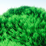 Stylized Interactive Grass Kit (URP)