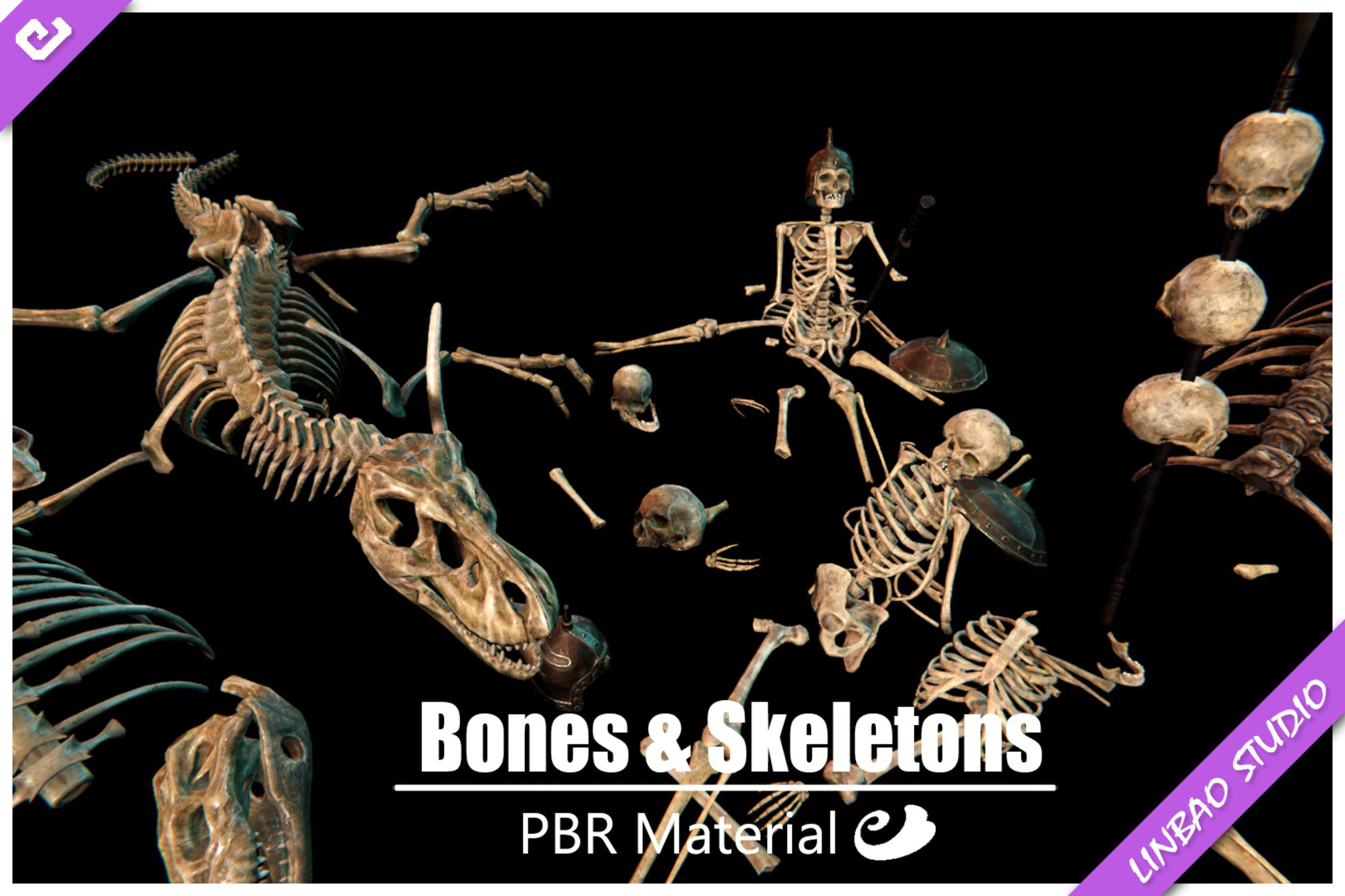 Bone Model Unity Bones & Skeletons | 3D Props | Unity Asset Store