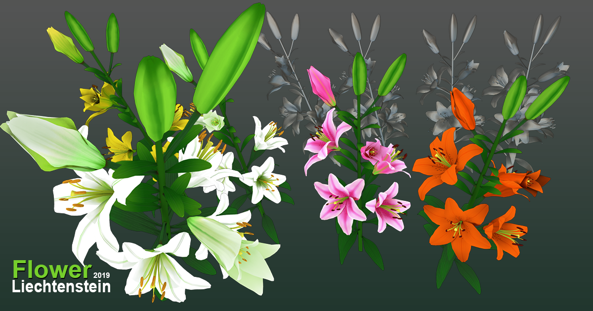 Flower Liechtenstein | 3D Flowers | Unity Asset Store