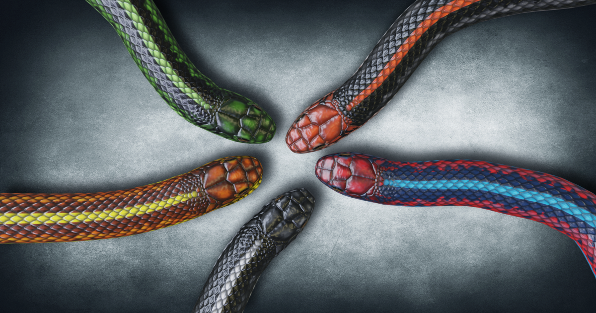 Basic Unity Snake Color Animated Snakes PBR Volume 2 | Characters | Unity Asset Store