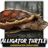 Alligator Turtle Predator - Animated Realistic Underwater Reptile